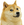 :doge-1414029048: