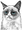 :grumpycat-1414026366: